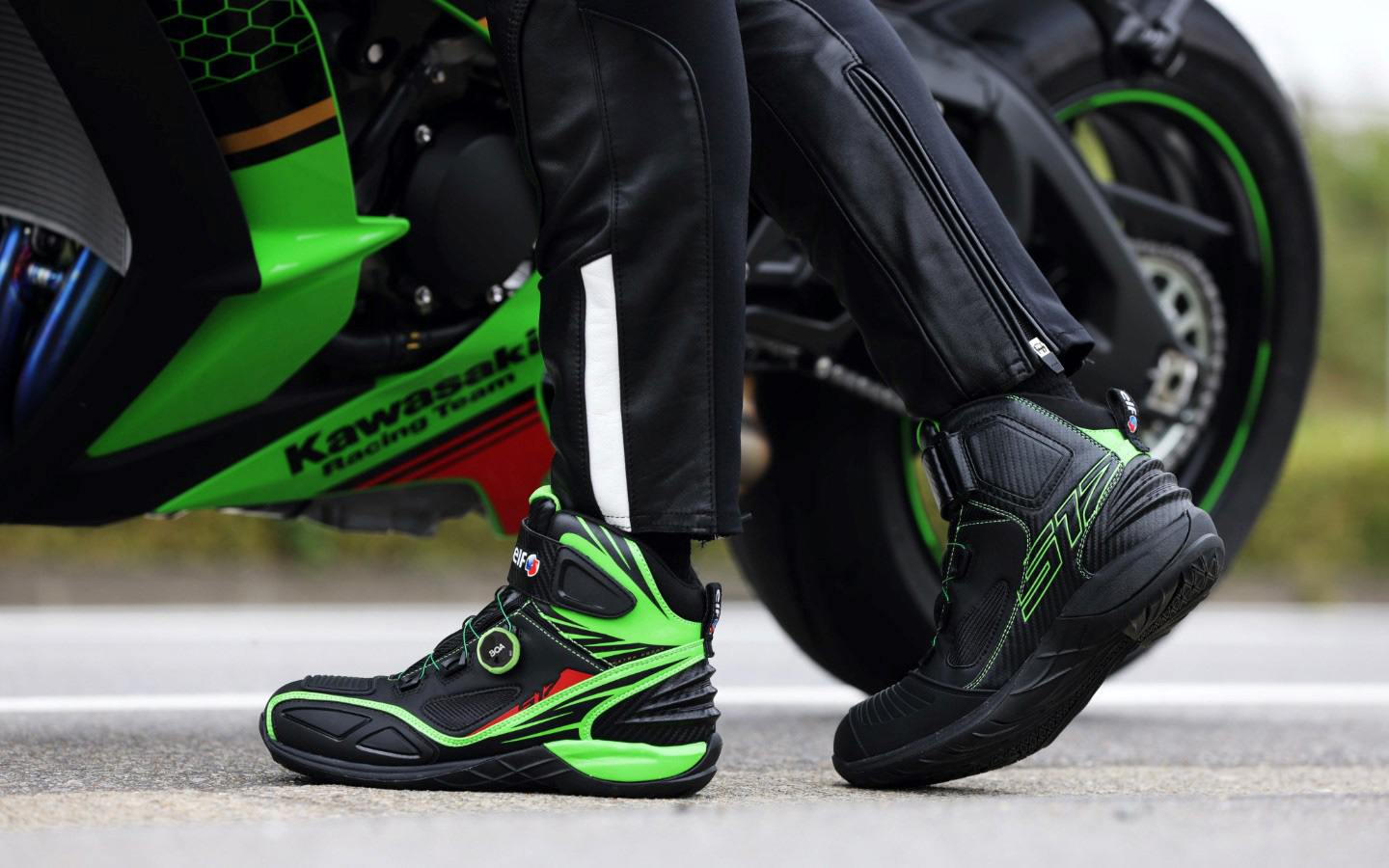 グリーンカラーモデル スペシャルコンテンツ | elf footwear