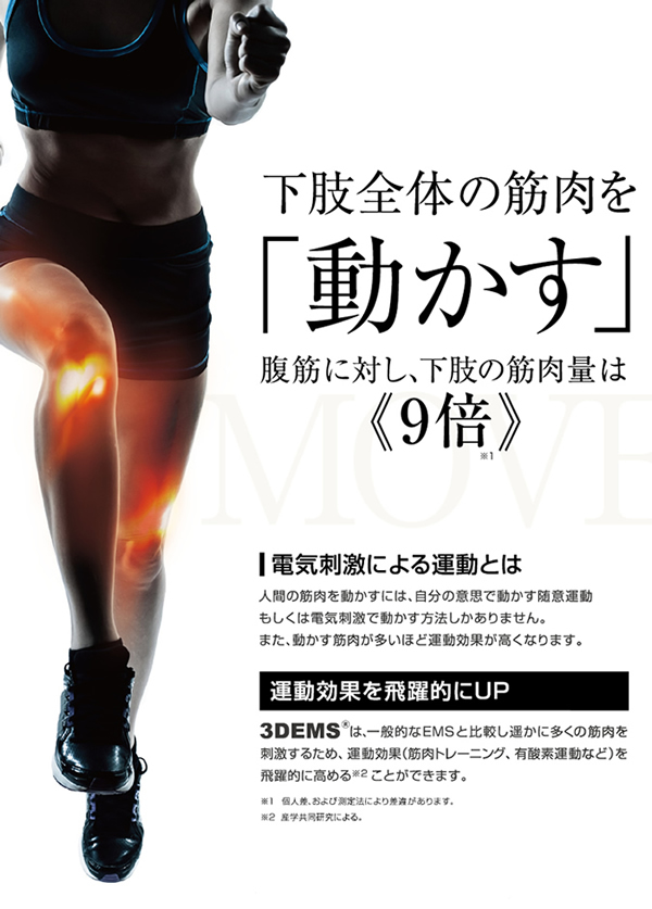 エポックモア｜パルストレーナー 3DEMS