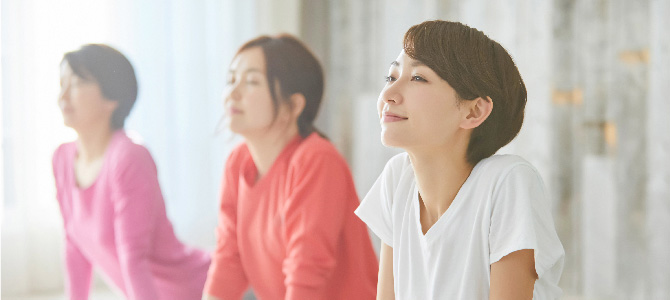 カーボリンⅡ（ケリーナⅡ用）｜商品情報｜株式会社エリナ