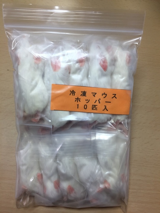 商品ラインナップ - esa屋 - 猛禽類・爬虫類・肉食魚の餌用国産冷凍