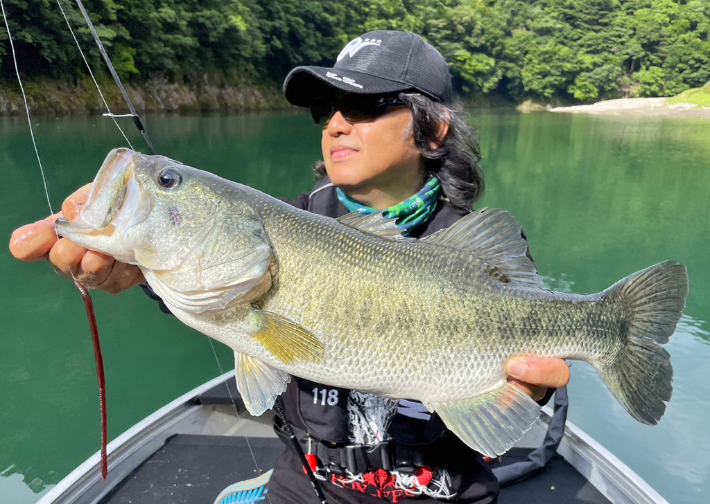 EVERGREEN（エバーグリーン インターナショナル） - OCSS-60UL-ST ガルサ