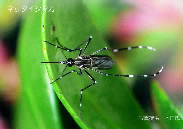 知っておきたいこと