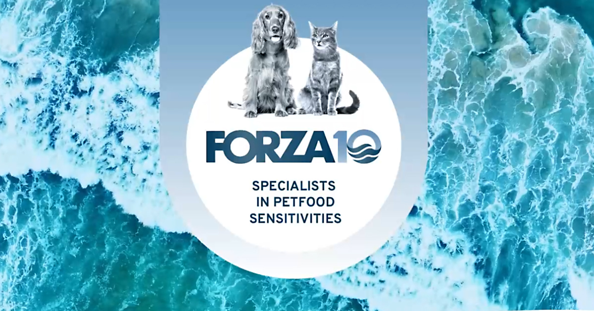 ハイポアレルジェニックアクティブ キャットフード｜皮膚・被毛の健康