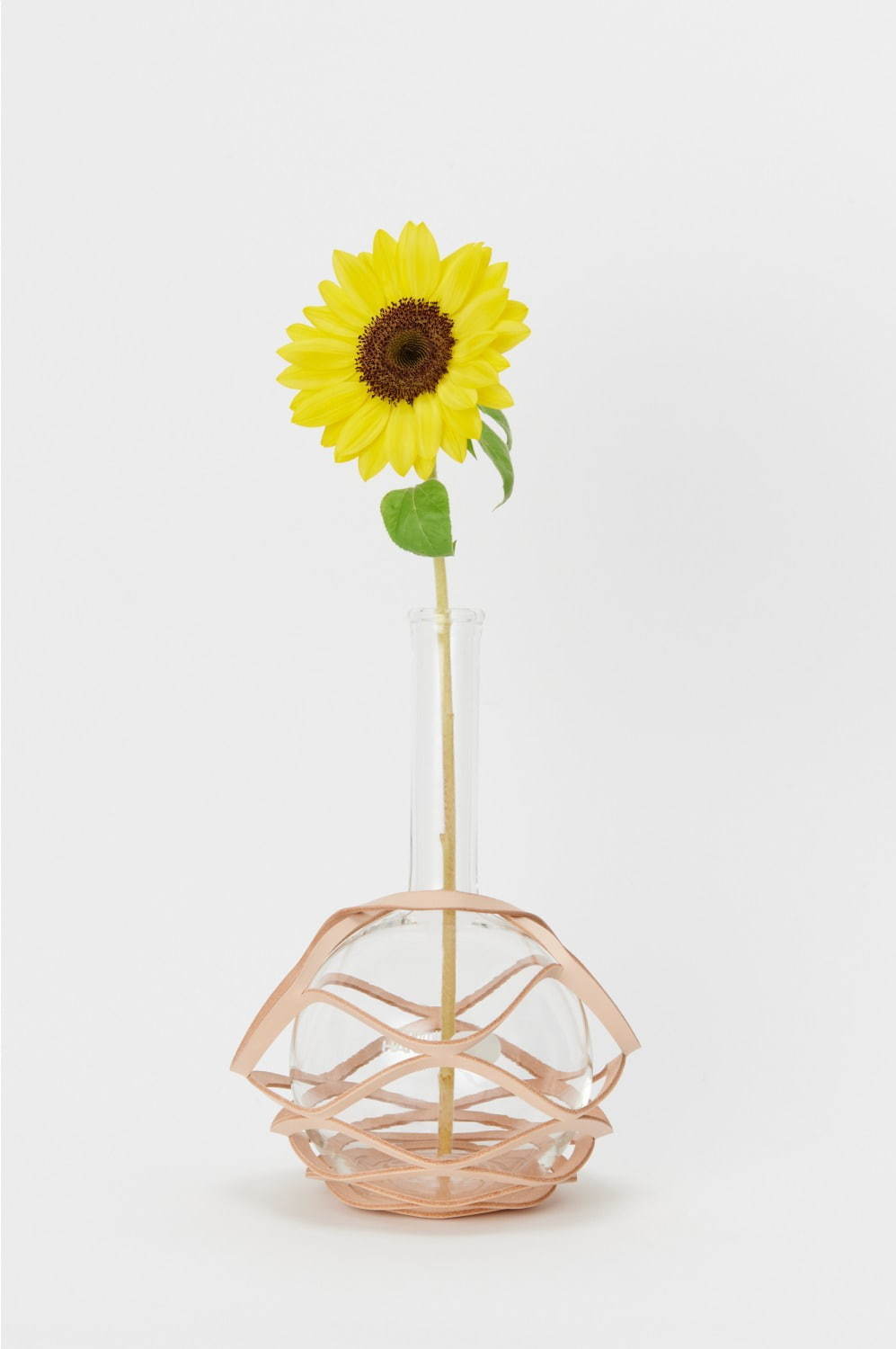 エンダースキーマから新ライン「サイエンス ベース：化瓶」レザーを