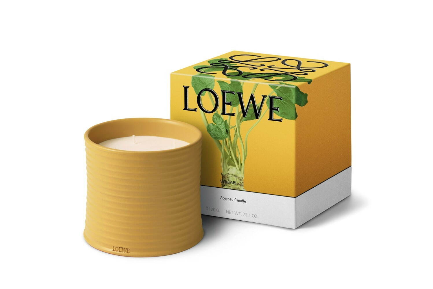 ロエベ パルファムに「ワサビ」の新たな香り、“爽やか＆スパイシー”な