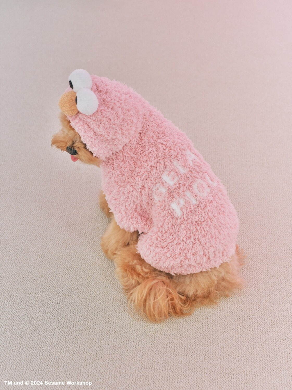 写真18/21｜ジェラート ピケ「セサミストリート」ルームウェア、“気分