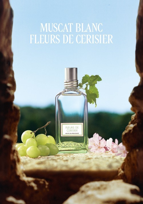 ロクシタン25年春ボディケア「ホワイトマスカットチェリーブロッサム