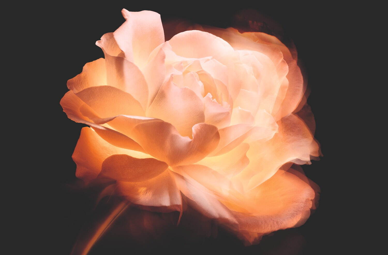 ディオール2025年ベースメイク、肌くすみケアの“ご褒美”美容液