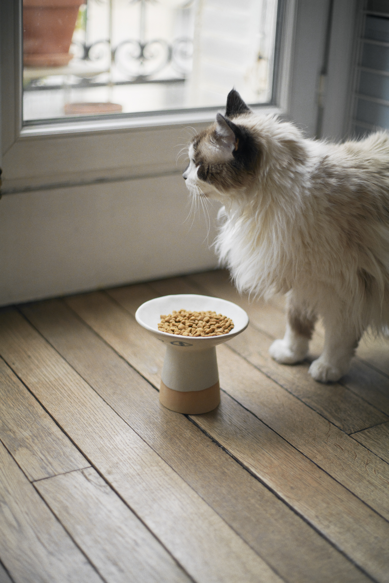 ビームスがキャットボウルを別注、セラミックアーティストのマドカ