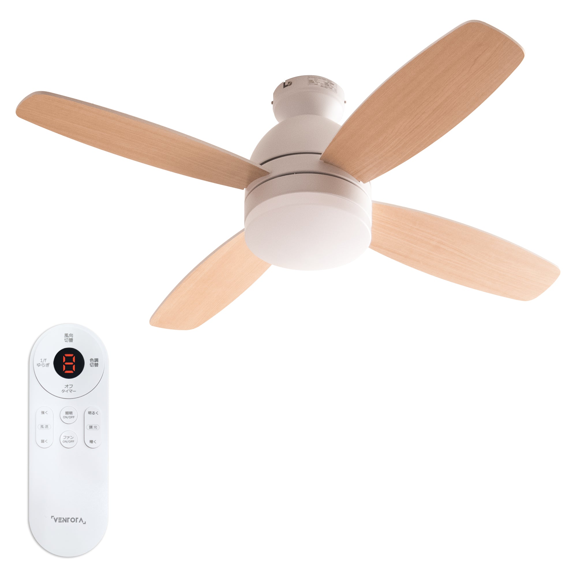 forte_na.jpg?v=1720661834&