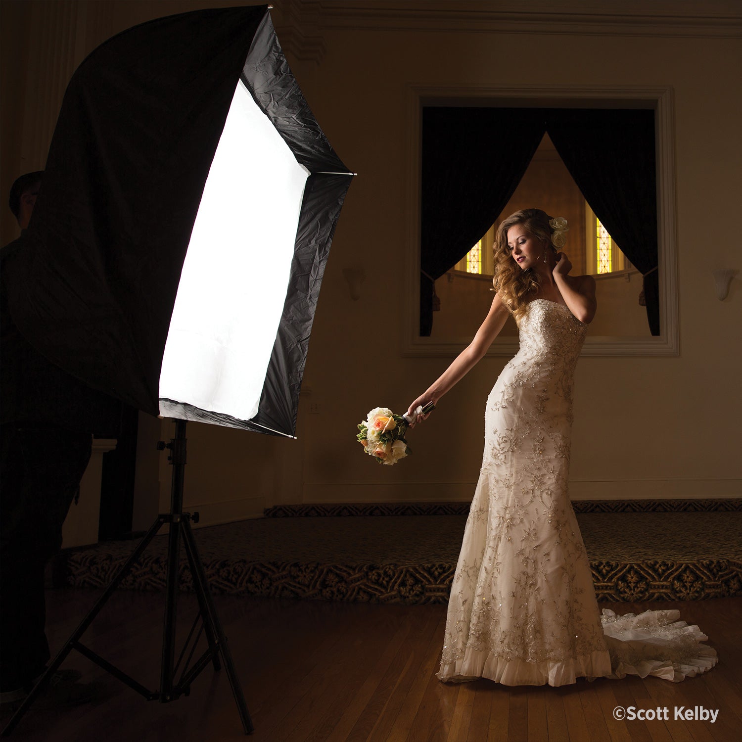 Mega JS Apollo Softbox (50