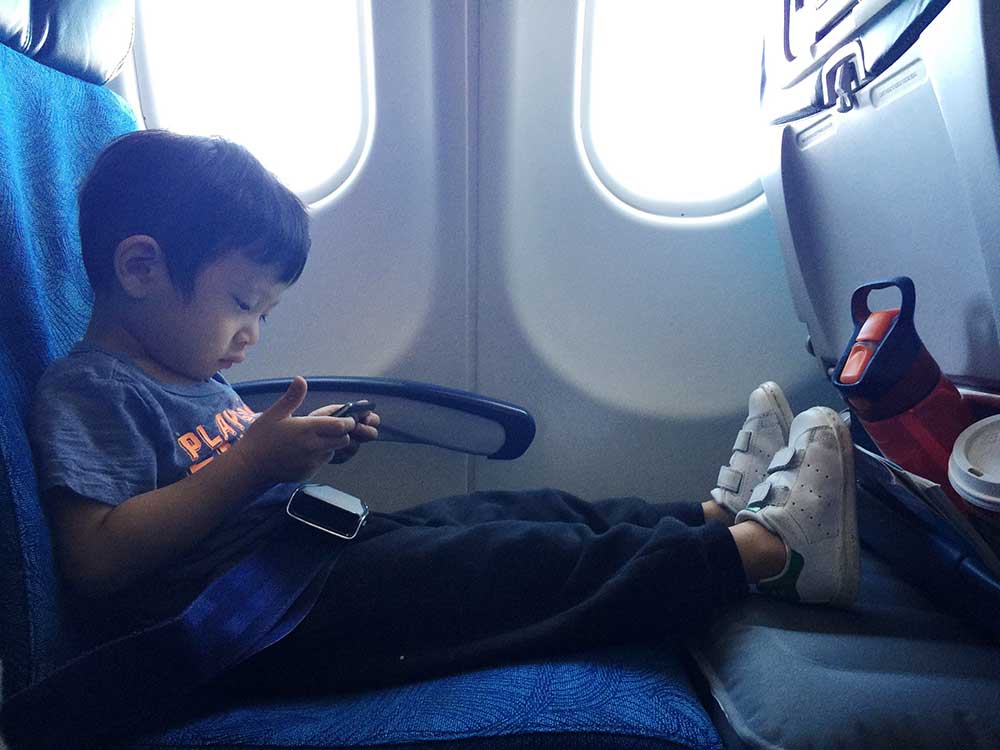 Fly-Tot フライトットジャパン