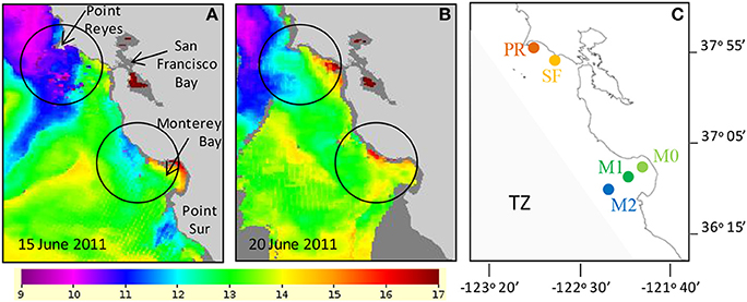 Frontiers | Microbial and biogeochemical responses to projected