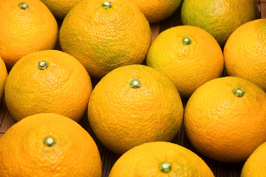 無農薬・自然農法・有機農産物などの産直通販 ふるさと21 / スイート