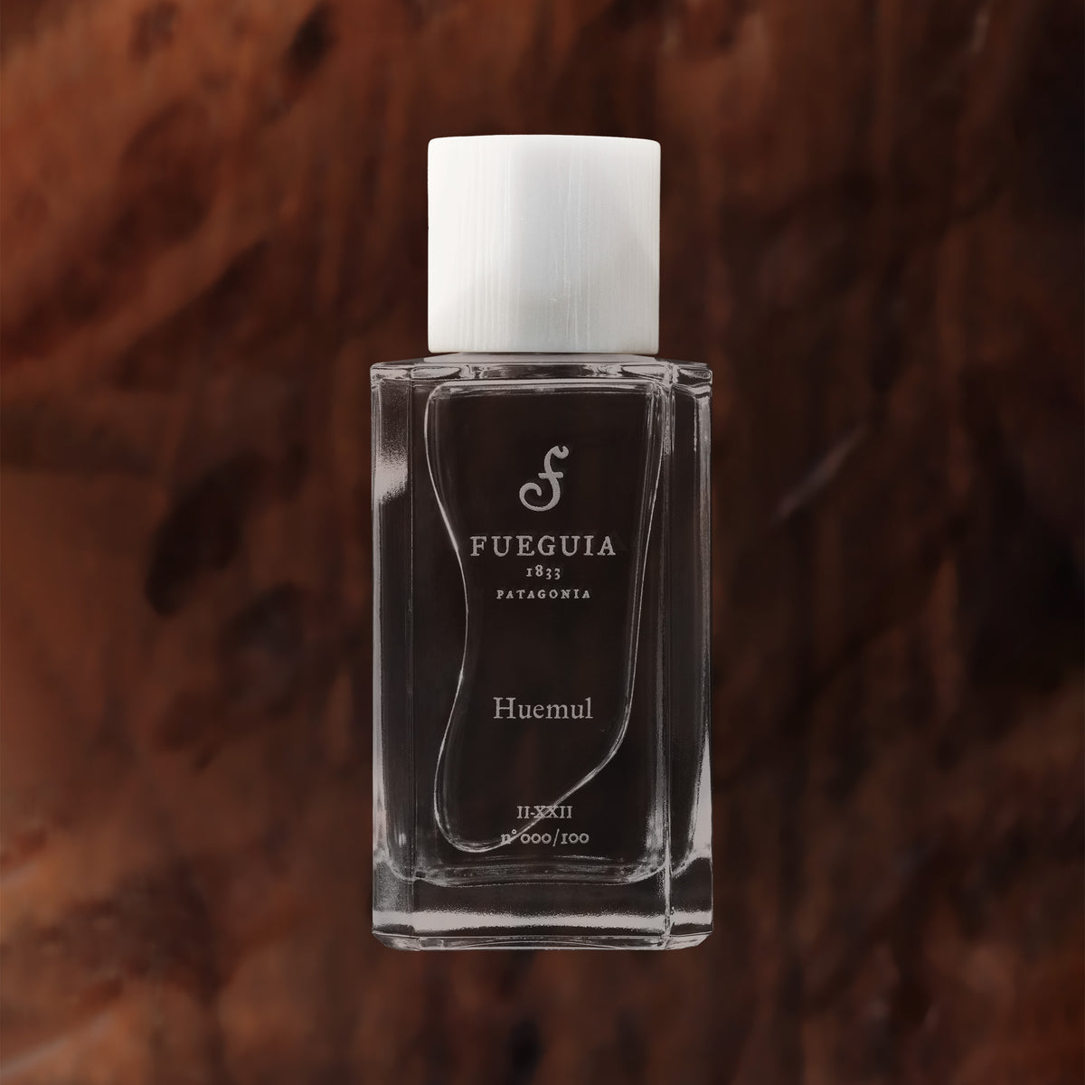 Huemul_1200x1200_crop_center.