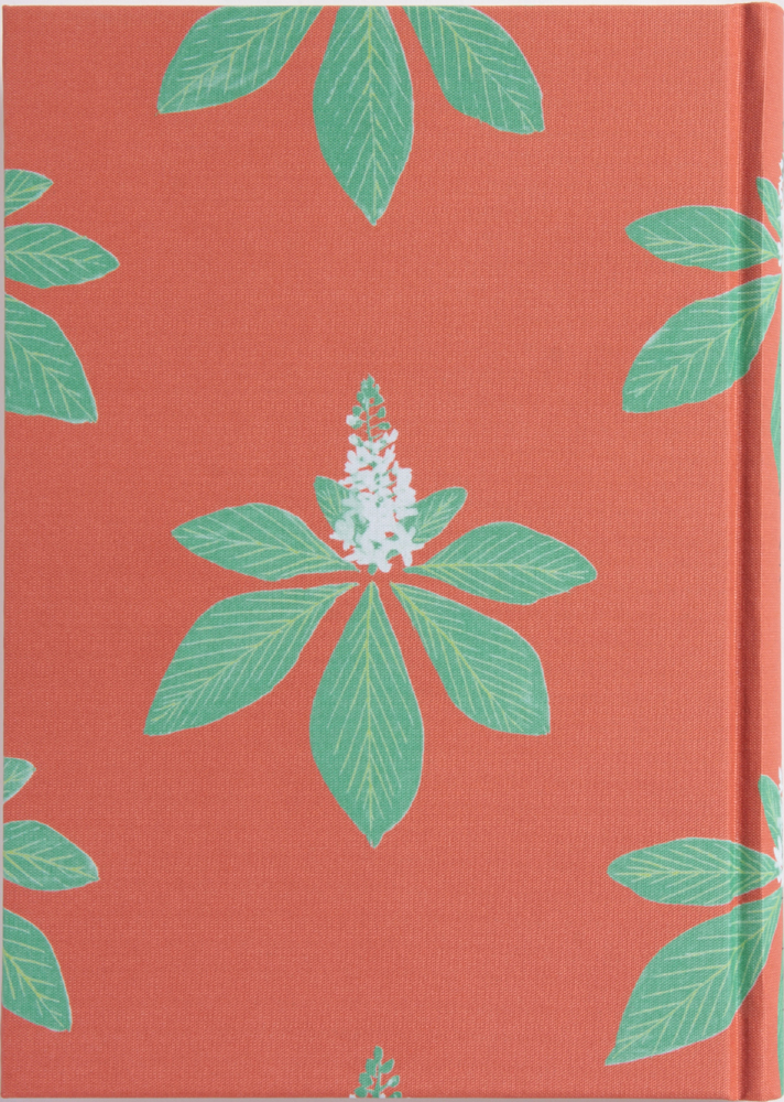 羽仁もと子著作集 第16巻 みどりごの心（新版） ｜ 婦人之友社 さあ