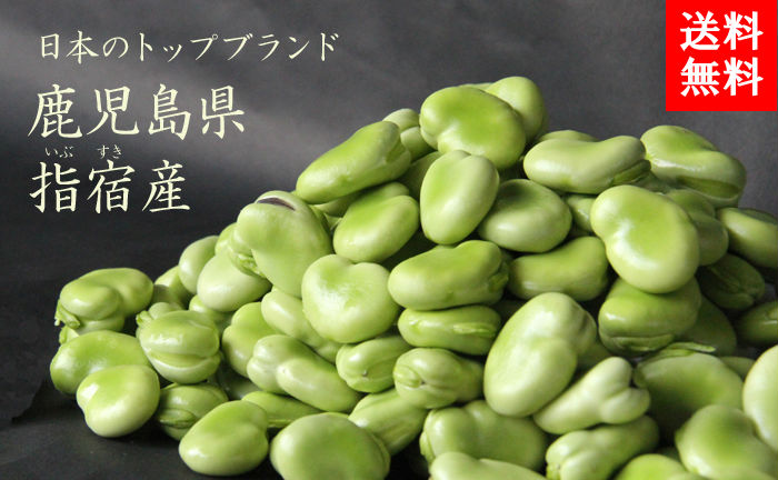 鹿児島県指宿産 そらまめ A品ML混合 野菜 アグリスタイル | G-Call