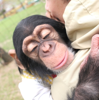 ほぼ日刊イトイ新聞 -カワイイもの好きな人々。