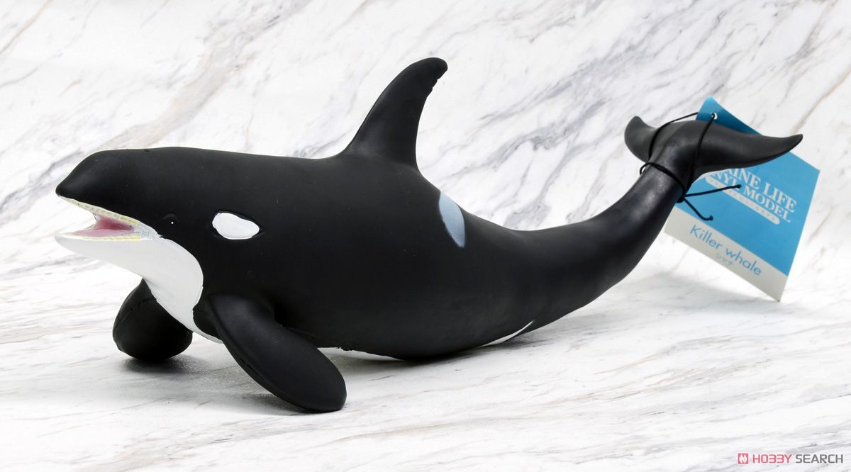 シャチ ビニールモデル (動物フィギュア) - ホビーサーチ おもちゃ