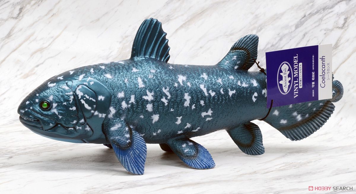 シーラカンス ビニールモデル (動物フィギュア) - ホビーサーチ おもちゃ
