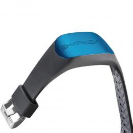 ONE WORLD LTD. / SHARK BANZ 2 SLATE-AZURE｜シャークバンズ