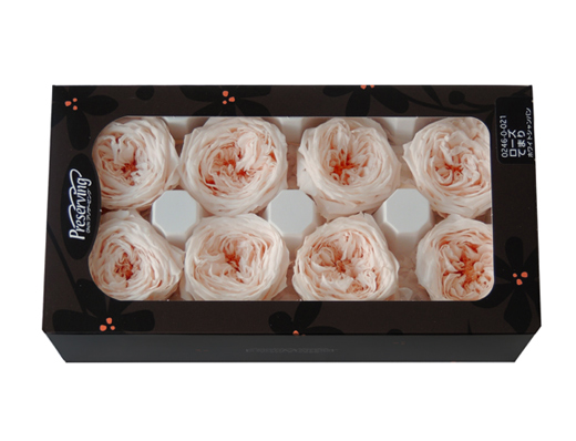 ローズ8輪【てまり】 | プリザーブドフラワーKnext