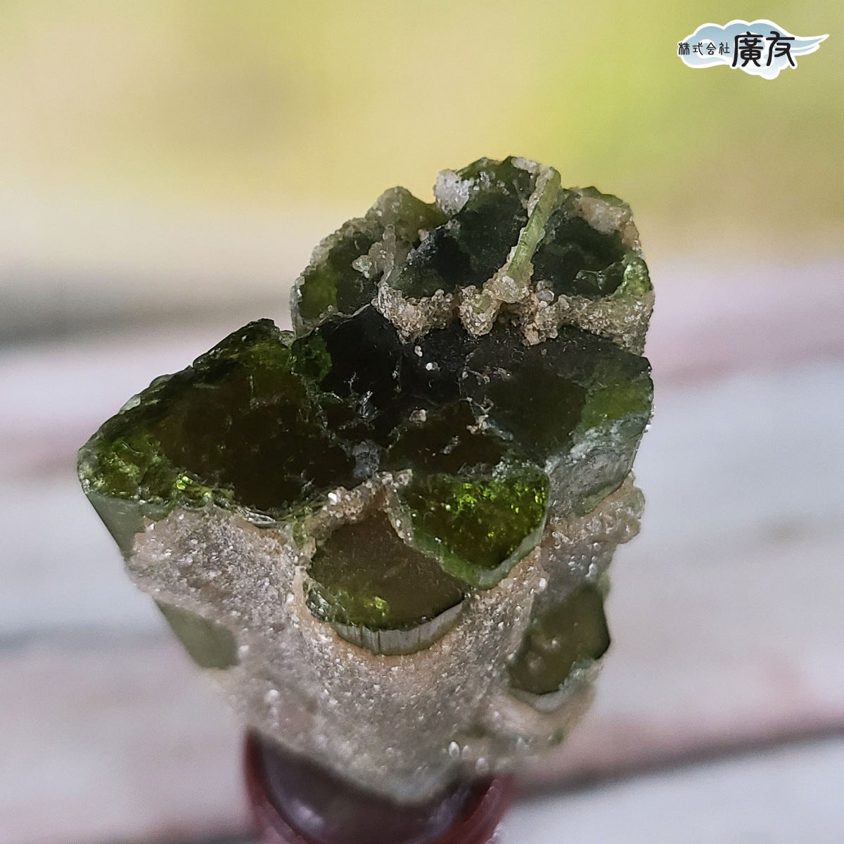 ウォーターメロントルマリン原石(台付) 現品限り(廣友)【新商品