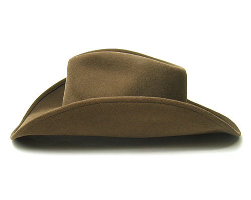 アメリカ STETSON(ステットソン) バッファローフエルトテンガロン