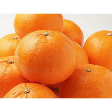 森本農園｜みかんとオレンジ通販専門店【和歌山県産】