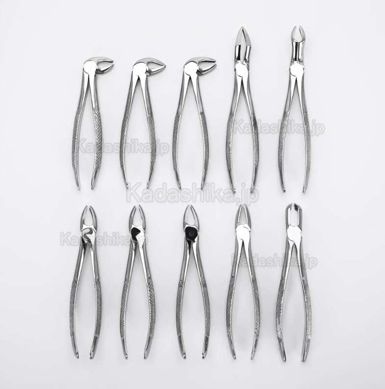 10 個/セット 歯科抜歯鉗子 歯科プライヤー 歯科手術用抜歯器具 - 荷田