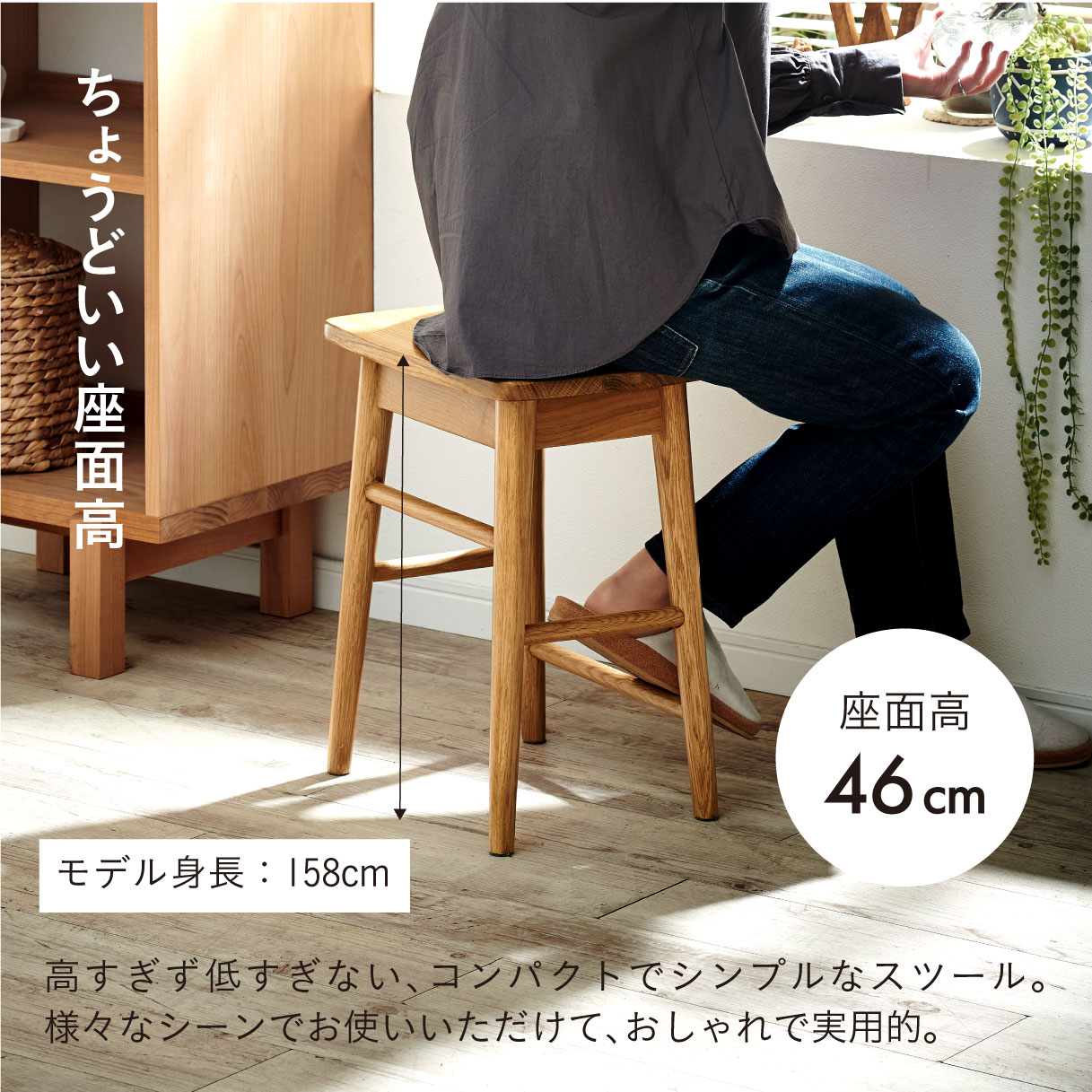 スツール チェア 1脚 完成品 天然木スツール Vigil(ビジル)の通販情報