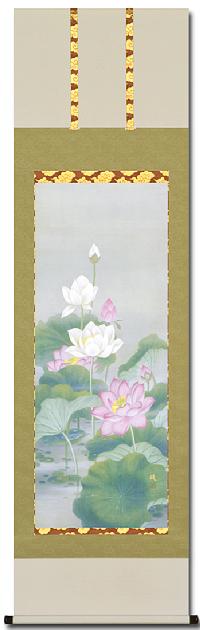 聖蓮花 広森 雄（尺五） 【全品送料無料】！ 蓮 - 掛け軸（掛軸）販売