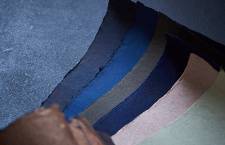 コラボレーション1 - 柿渋（柿しぶ）のことは（株）トミヤマ（京都）へ