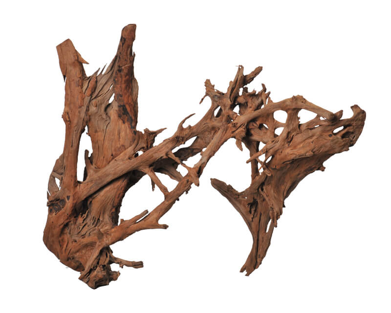 セレクト流木：石・流木 ～神畑養魚株式会社～