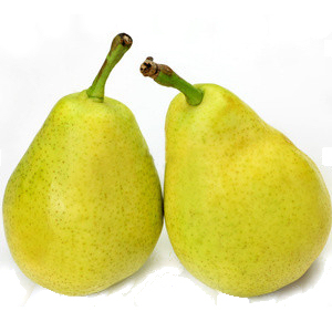だるまジャンボ梨 - カネカ果樹園カネカ果樹園
