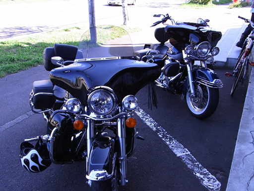 メンフィスシェード バットウイング フェアリング 84年以降ロード