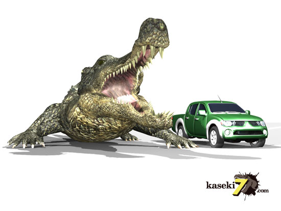 最大級65mmのサルコスクスの美歯 希少なニジェール産!!! 恐竜も恐れた