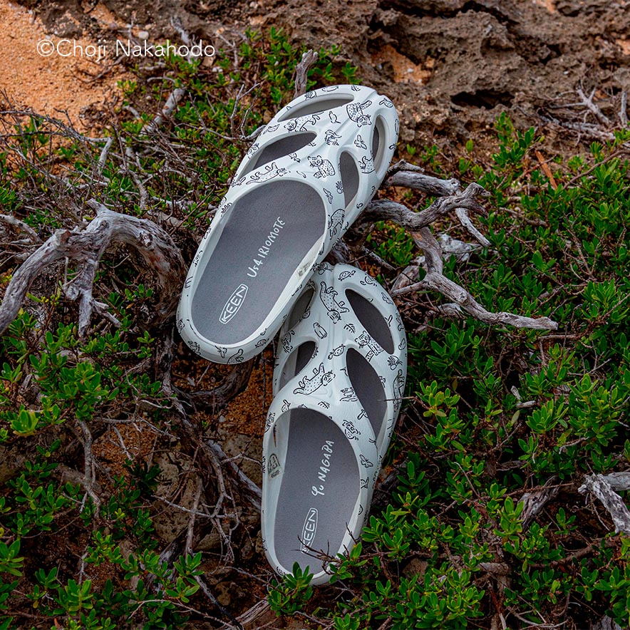 オールジェンダー サンダル KEEN x Us 4 IRIOMOTE | シャンティ アーツ