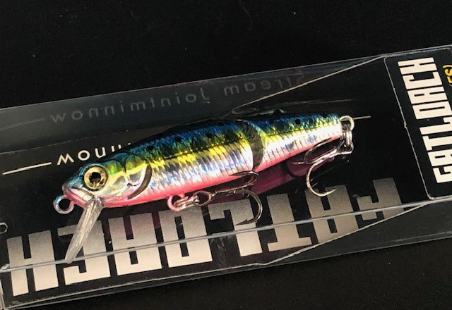 スカジットデザインズ ファットローチ 50mm/4g/FS【シーバスルアー専門