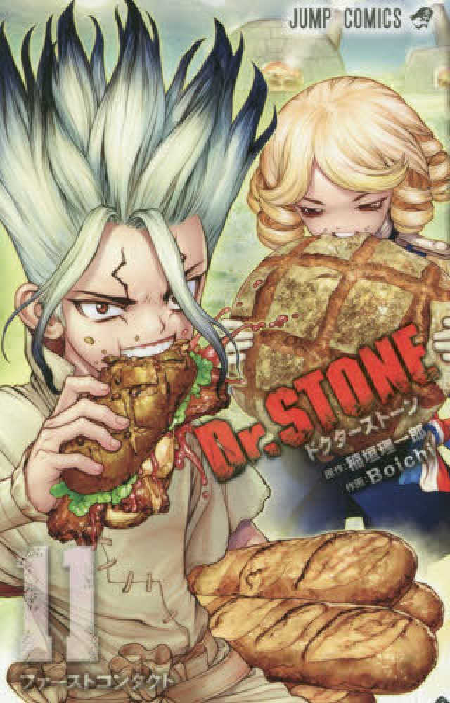Dr．STONE 11 / 稲垣理一郎/Boichi - 紀伊國屋書店