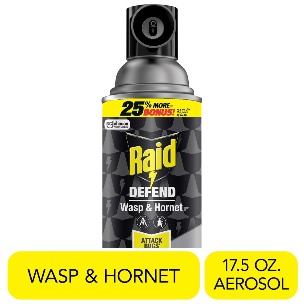 Raid Defend Wasp & Hornet Killer, Outdoor Flying Insect Spray