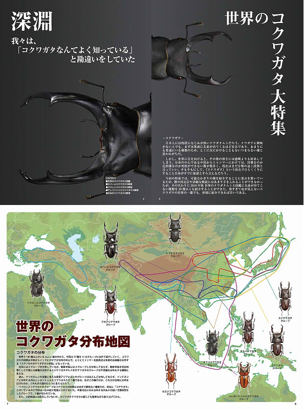 くわかぶプラネット / BE-KUWA 54号