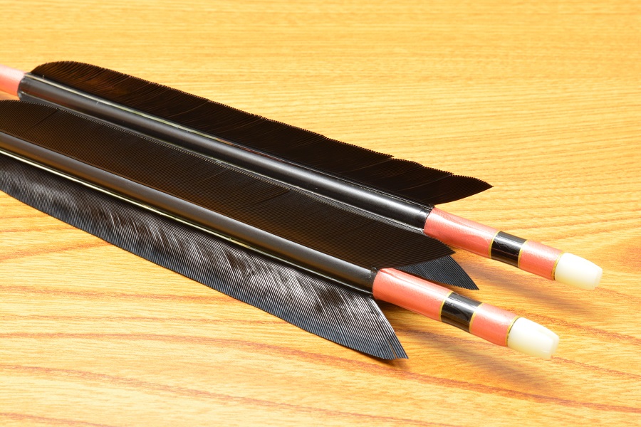 矢 12本セット (EASTONXX75 1913黒と茶) 専用ケース・弦巻付き 矢 12本