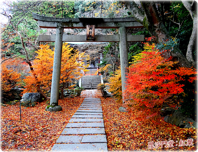 毘沙門堂 紅葉（京都山科）