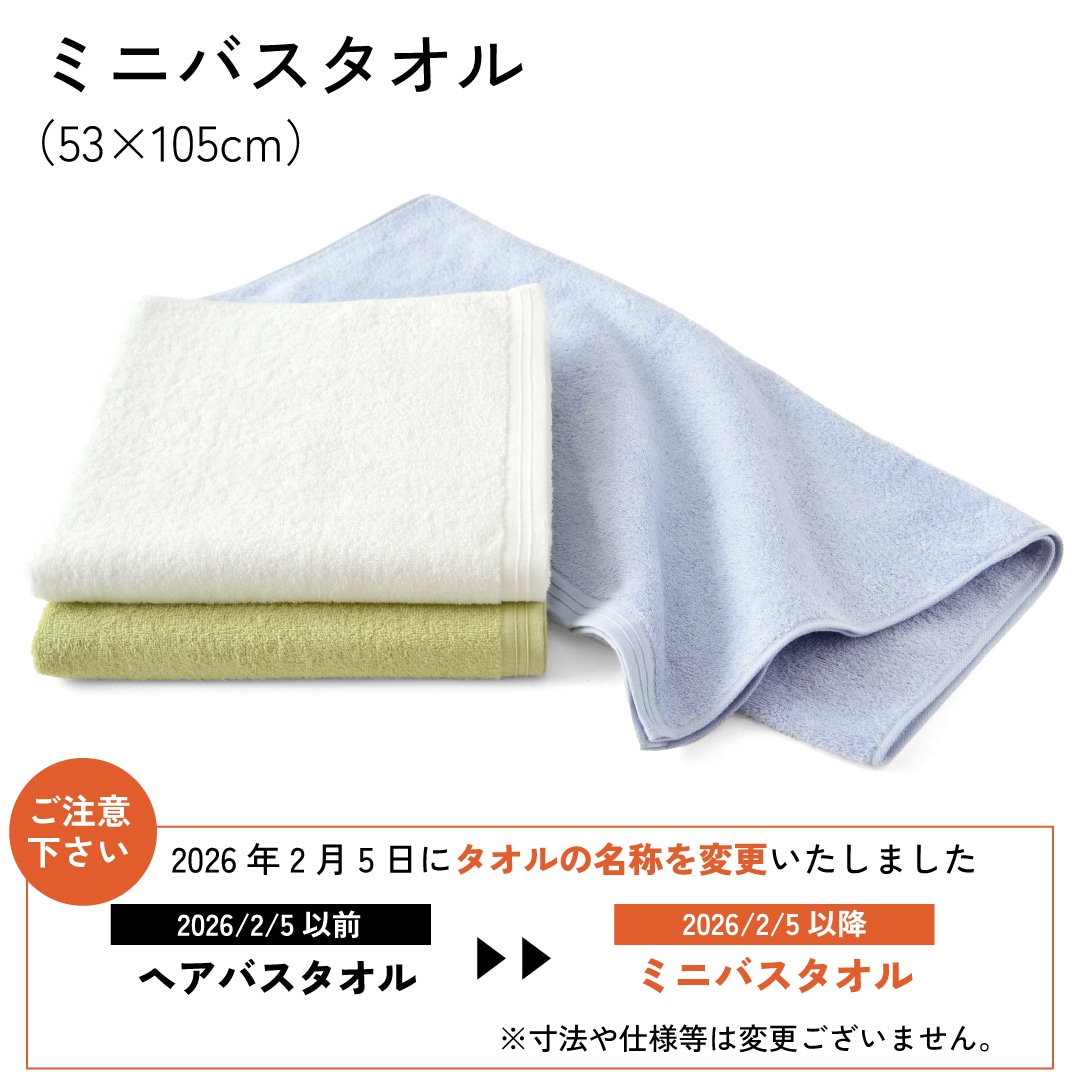 ホットマンカラー12 ミニバスタオル