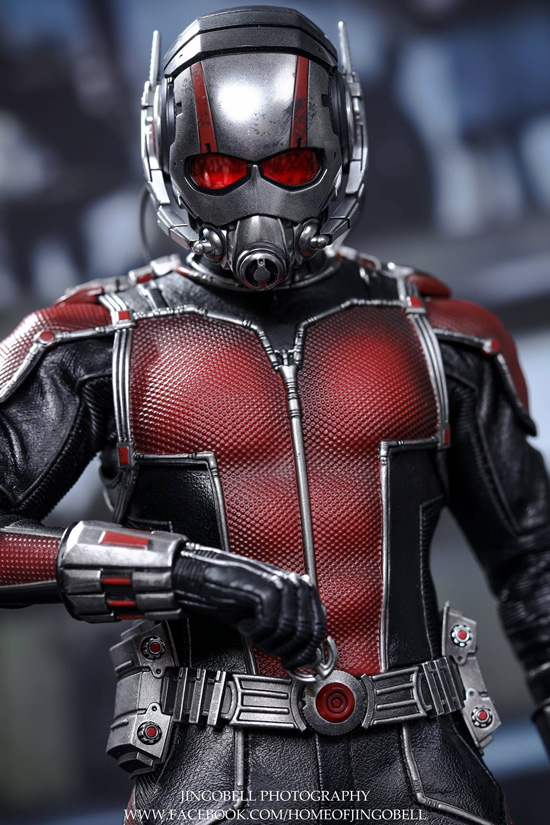 もっと！HOT！ vol.368 アントマン、いよいよ発売！｜マガジン｜株式