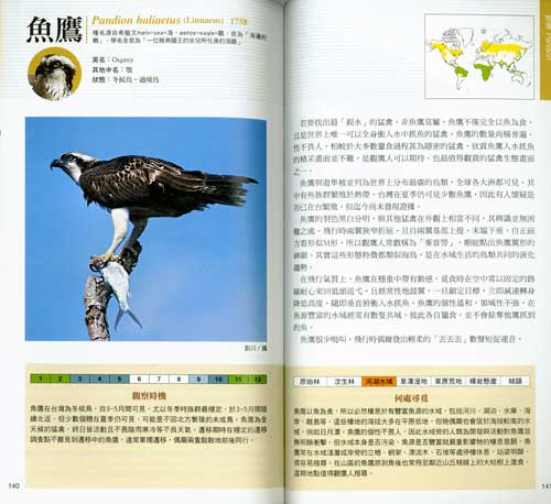 台湾猛禽観察図鑑 A Field Guide to the Raptors of Taiwan Hobby's