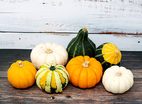 ギフトバザールのハロウィン特集 ハロウィンかぼちゃセットの販売｜お