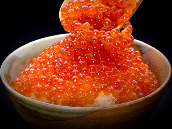 豪華絢爛！海鮮お正月セット | かに通販の北釧水産