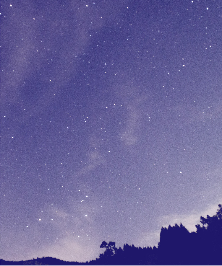 八女茶｜星野製茶園【公式】通販｜玉露日本一の星野村よりお届けします。